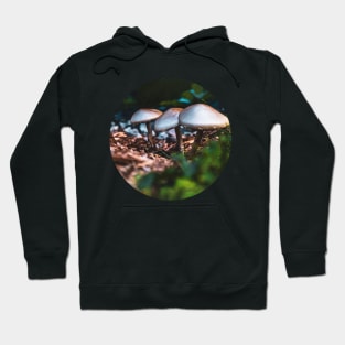 Wild Mushrooms Photograph Hoodie